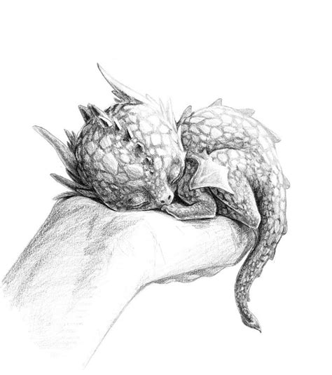 Baby Dragon | Fi's Sketchblog | Dragon sketch, Dragon art, Baby dragon