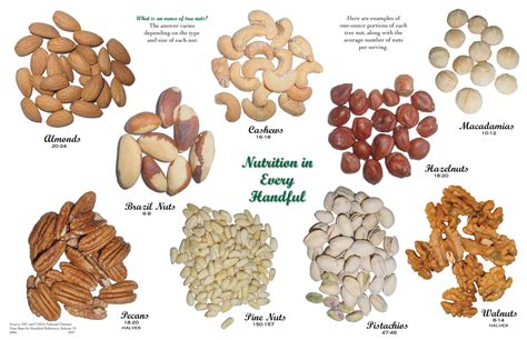 1 oz servings of different types of tree nuts. (almonds, cashews ...