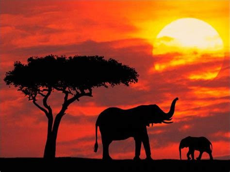 Images Kenya Beautiful sunset 2715