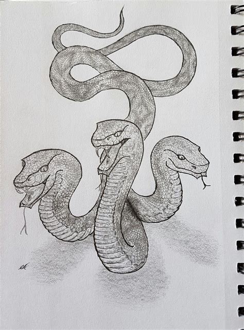 3 headed snake fantasy art drawing | Mythical creatures drawings ...