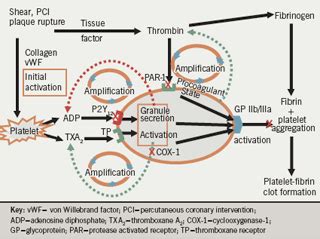 Aspirin Mechanism Of Action