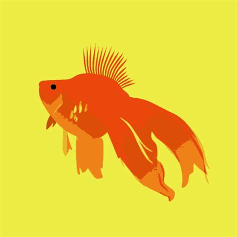 Animated Moving Fish GIFs | Tenor