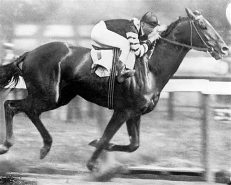 Man O’ War: Was He The Greatest Or Fastest Horse To Race?