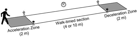 Gait speed measurement. | Download Scientific Diagram