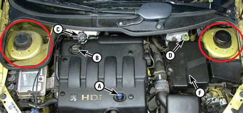 What are those parts in peugeot 206 car? - Motor Vehicle Maintenance & Repair Stack Exchange