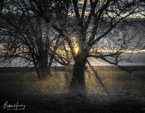 Winter Scene Colorado Winter Colorado Photography Front - Etsy