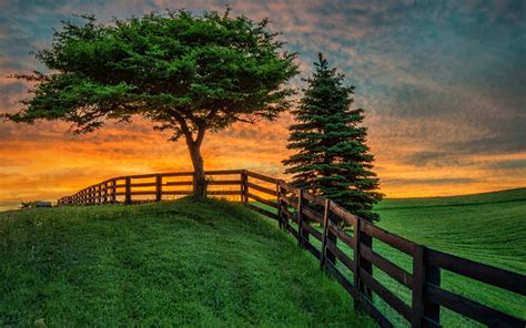 Summer Field Sunset Fence Wallpapers - 1920x1200 - 941135