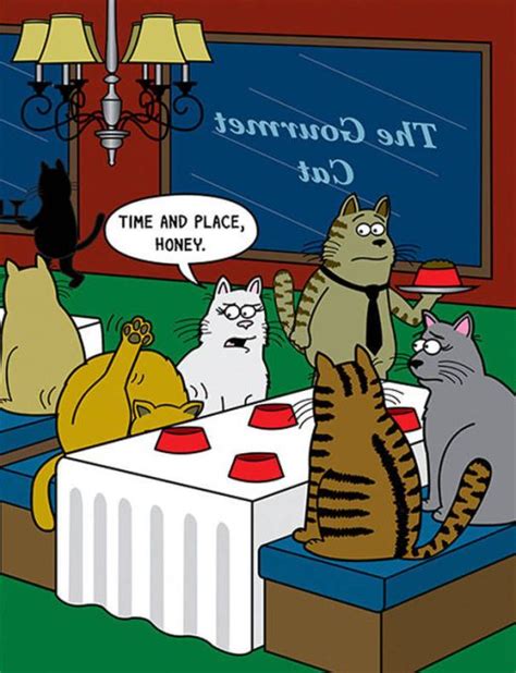 Funny Cat Cartoons | Fun