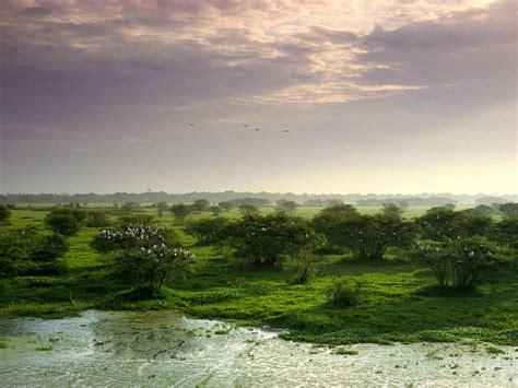 Keoladeo National Park, India photo on Sunsurfer