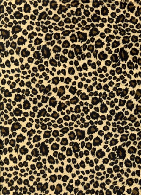 Leopard Background - WallpaperSafari