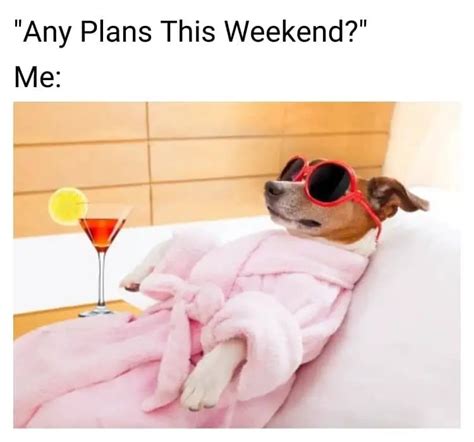 30 Funny Weekend Memes About Having Great Time - HumorNama