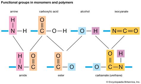 Polymerization | Definition, Classes, & Examples | Britannica