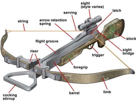 Parts of a Crossbow