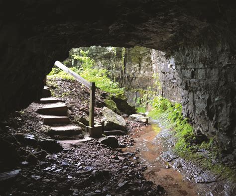 Tennessee’s Caves Have a History All Their Own - The Tennessee Magazine