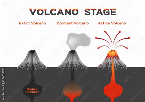 volcano stage infographic / extinct dormant and active volcano /vector Stock Vector | Adobe Stock