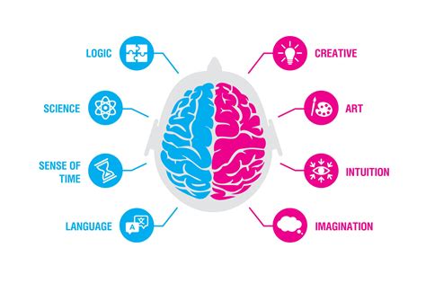 Lateralization of Brain Function & Hemispheric Specialization