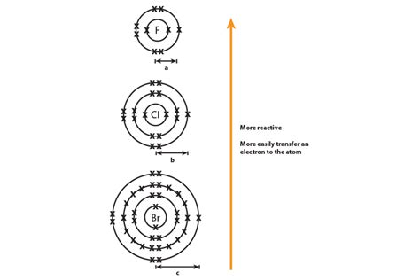 As you move down group 1 and 7 elements get more reactive