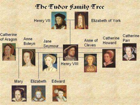 Family tree of the Tudor's | The tudor family, Royal family trees, Family tree