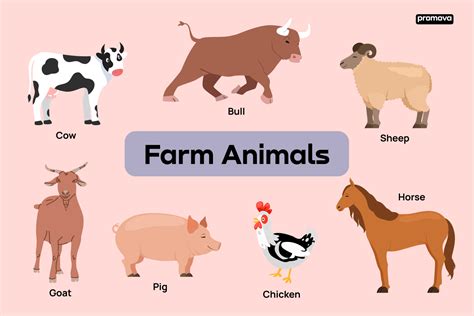 Farm Animals Dimensions Drawings, 57% OFF