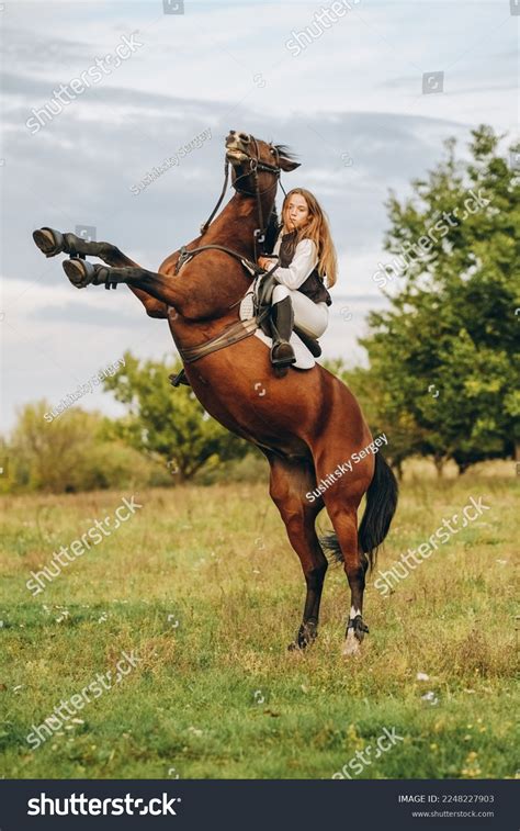 Horse Rearing Rider Photos and Images | Shutterstock