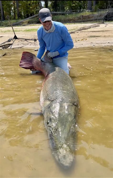 Angler Breaks Alligator Gar Records with 283 Pound Fish - Wired2Fish