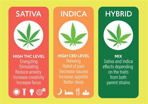 Indica vs. Sativa vs. Hybrid - Difference, Effects, Use