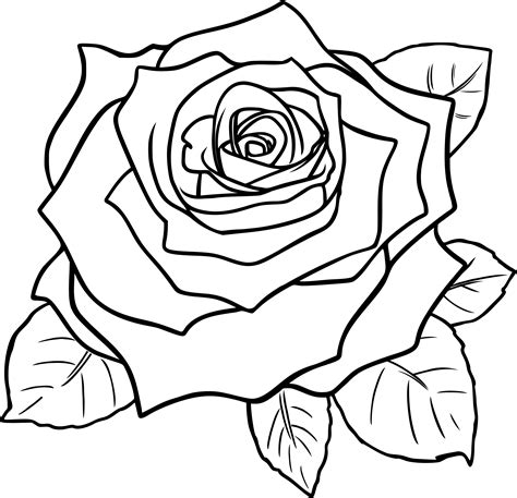 Roses #162072 (Nature) – Free Printable Coloring Pages