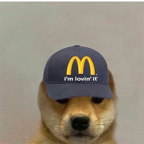 Shiba Inu Dog With Hat Meme - Bleumoonproductions