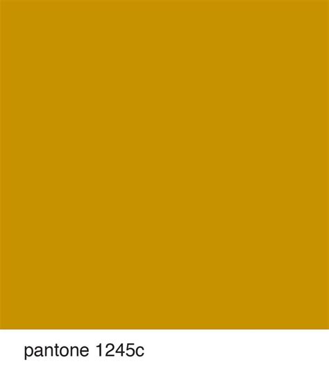 Pantone 1245 c - mustard | Colours | Pinterest