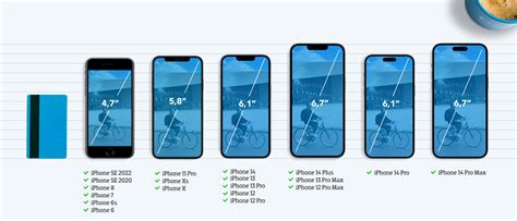 iphone xs vs iphone 12 pro size - Rosia Capps