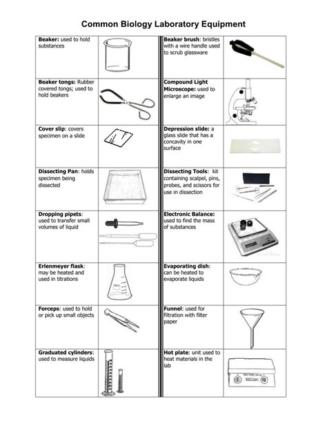 Common Biology Laboratory Equipment