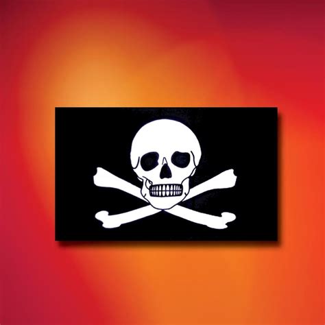 Skull and Crossbones Pirate Flag - Costumes and Collectibles