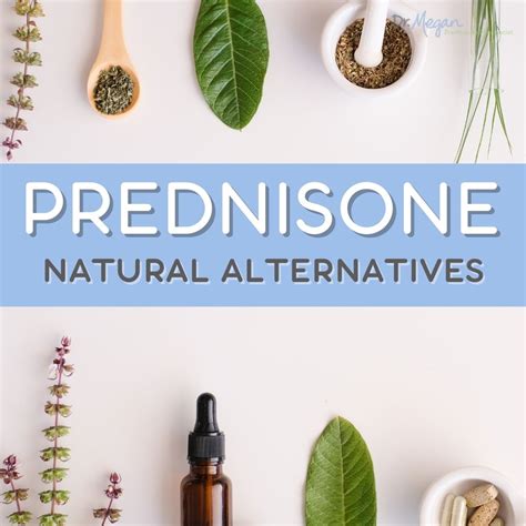 Prednisone Natural Alternatives | Dr. Megan