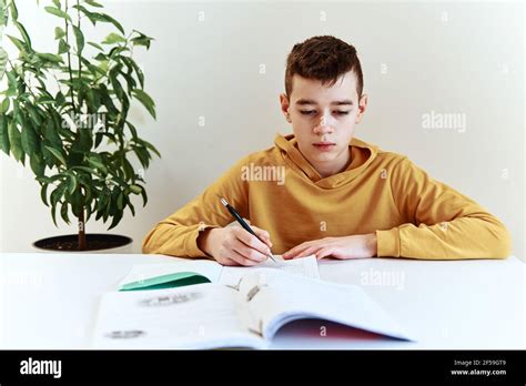 Teenage boy writing homework at home. Education concept Stock Photo - Alamy