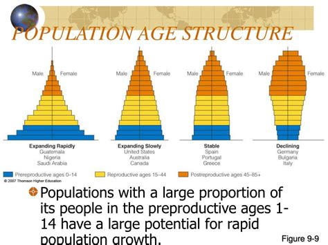 PPT - HUMAN POPULATION DYNAMICS PowerPoint Presentation, free download ...