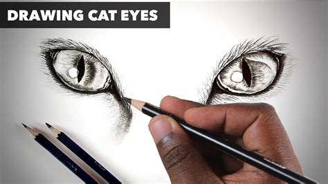 Cat Eyes - How To Draw - Realistic Cat Eyes Drawing - Step By Step - YouTube