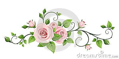 Pink Rose Vine. Vector Illustration. Stock Vector - Image: 72098399