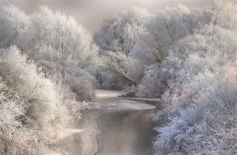 landscape, Photography, Nature, River, Forest, Winter, Frost, Snow, Trees, Cold, White ...