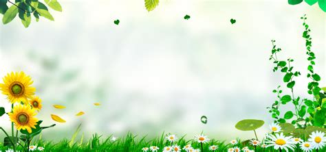 Dandelion Herb Plant Beam, Season, Spring, Light Background Image for Free Download