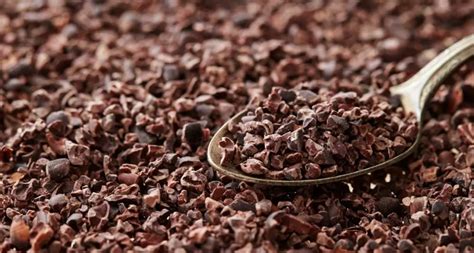 7 key ways cacao powder can benefit your body - Body Nutrition