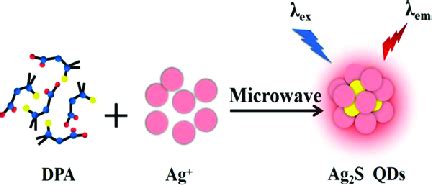 Schematic representation of the Ag 2 S quantum dot synthesis process. | Download Scientific Diagram