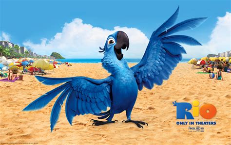 Spix's Macaw Family/Gallery | Rio Wiki | FANDOM powered by Wikia