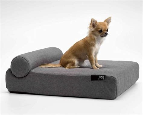 Modern Pet Furniture For Discerning Dogs, Cats And Their Owners