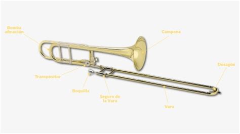 Types Of Trombone, HD Png Download , Transparent Png Image - PNGitem