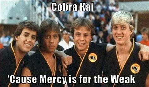 A Collection Of The Best & Funniest Cobra Kai Memes