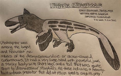 Utahraptor color pencil profile by MakairodonX on DeviantArt