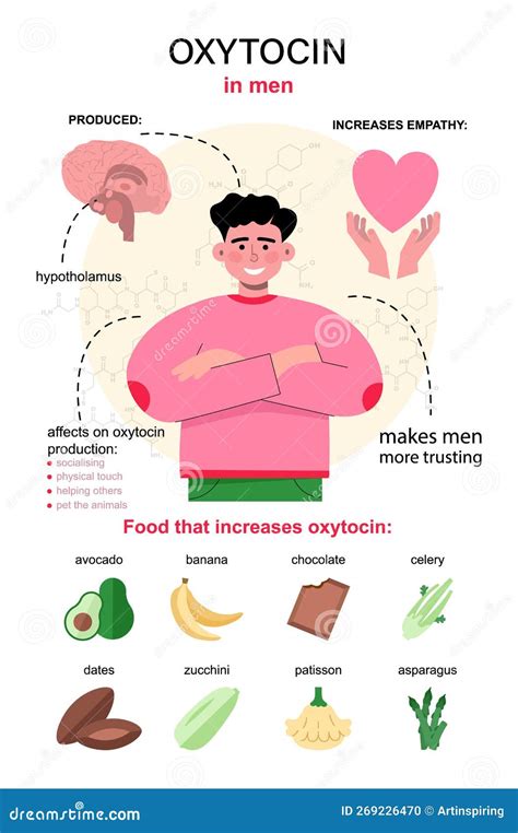 Oxytocin Hormone Infographics. Chemical Strucuture Affect on Male Body Stock Vector ...