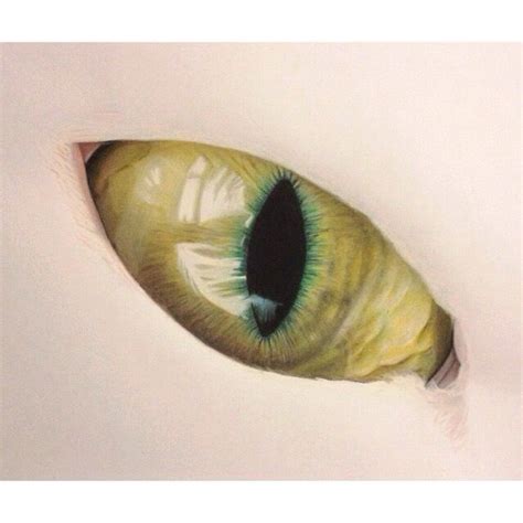 Cats eye #art #drawing #sketch colored pencils | Realistic cat drawing ...