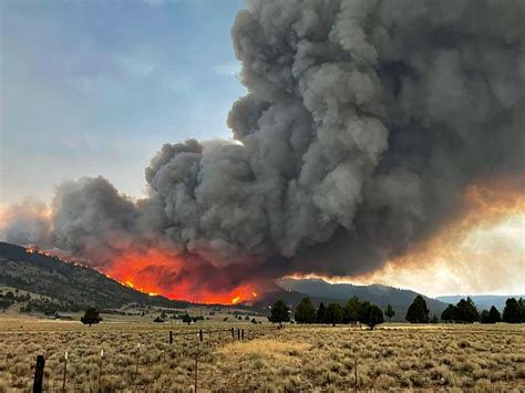 Wildfires | heraldandnews.com