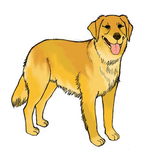 Download High Quality clipart dog realistic Transparent PNG Images - Art Prim clip arts 2019